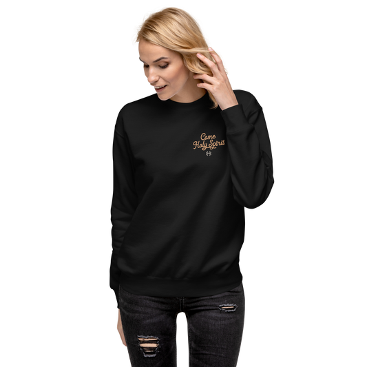 No Map, Just a Guide: Unisex Premium Sweatshirt